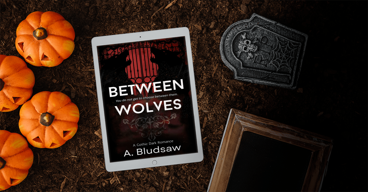NEW Release! Between Wolves - spicy gothic dark romance by A. Bludsaw
