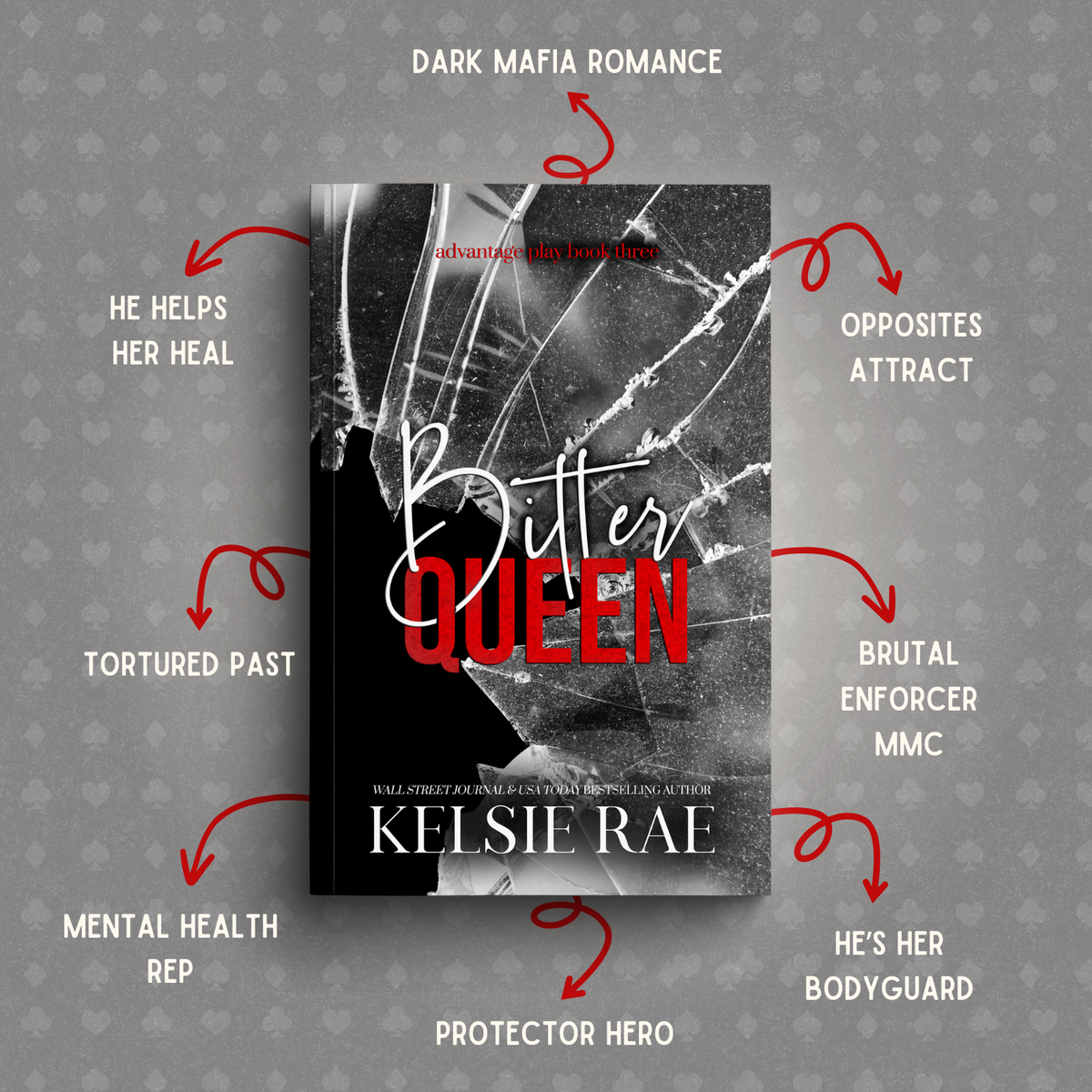 Advantage Play Series Paperback Bundle